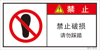 SCL-019