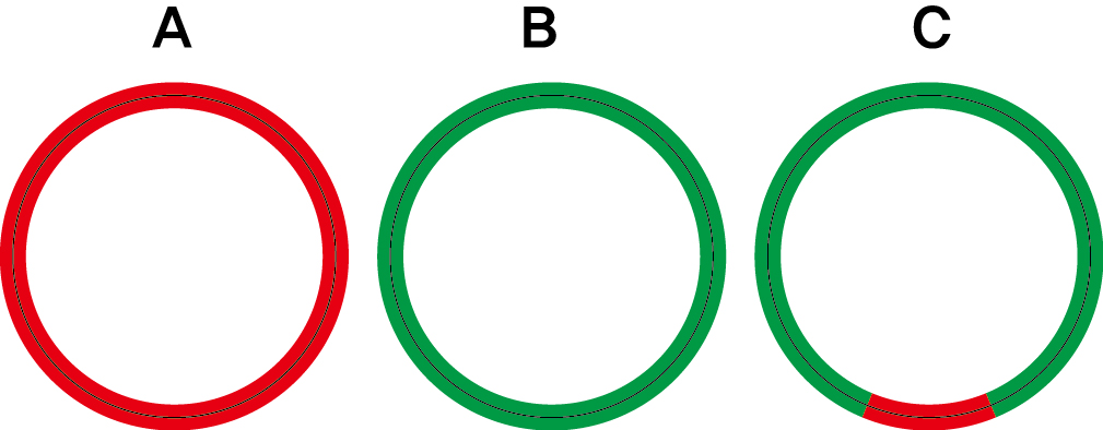 SLCO-249