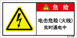 SLE-598
